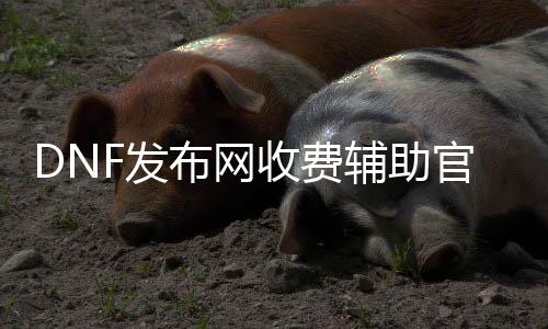 DNF发布网收费帮助官网