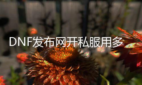 DNF发布网开私服用多大处事器