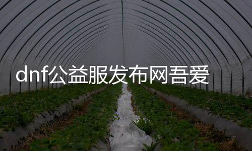 dnf公益服发布网吾爱（摸索最受接待的dnf公益服发布网）