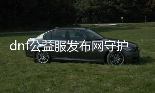 dnf公益服发布网守护者职业先容和技术理会,打造最强公益服发布网守护者