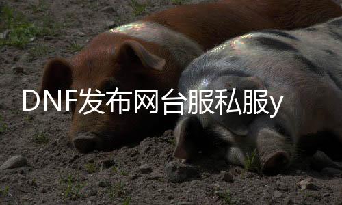 DNF发布网台服私服yy频道（台湾DNF发布网处事端）