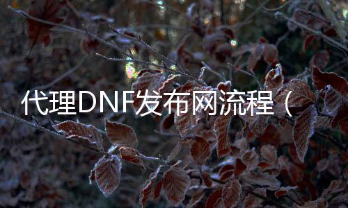 署理DNF发布网流程（dnf代售）