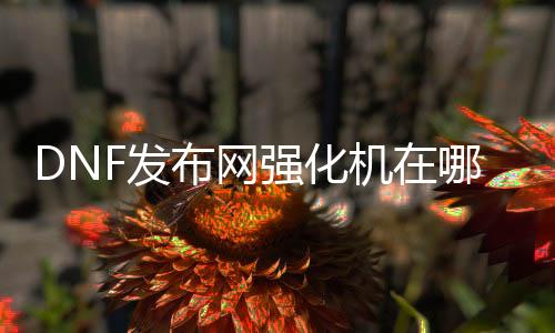 DNF发布网强化机在哪（dnf强化器怎么得到）