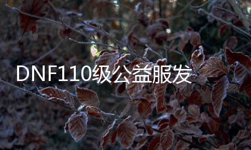 DNF110级公益服发布网是什么意思, DNF110级公益服发布网玩法先容