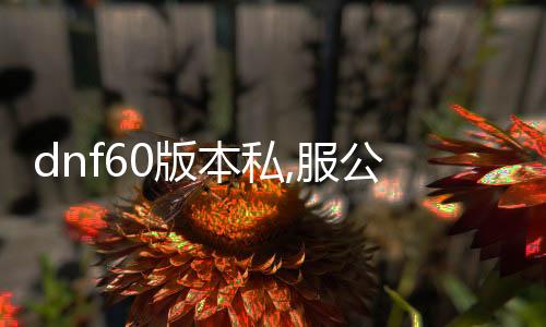 dnf60版本私,服公益服发布网网站（相识私服和公益服发布网网站的特点）