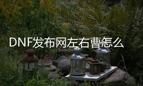 DNF发布网阁下曹怎么开（dnf阁下槽哪个晋升大）