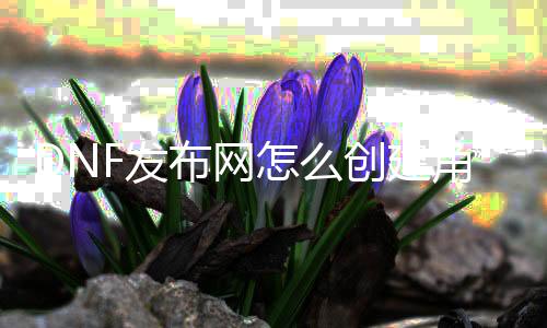 DNF发布网怎么建设脚色