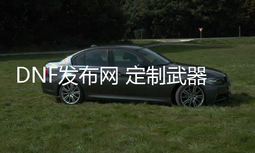 DNF发布网 定制兵器（DNF发布网2020廉价兵器最快多久）