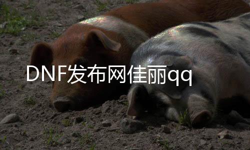 DNF发布网佳人qq
