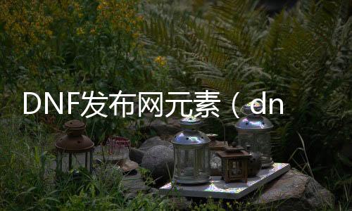 DNF发布网元素（dnf元素视频解说）